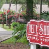 Bell Shoals Animal Hospital