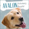 Avalon Veterinary Hospital