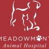 Meadowmont Animal Hospital