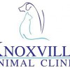 Knoxville Animal Clinic