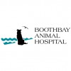 Boothbay Animal Hospital