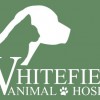 Whitefield Animal Hospital DVM