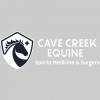 Cave Creek Equine Surgical & Imaging Center