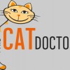 The Cat Doctor