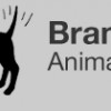 Branchburg Animal Hospital