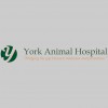 York Animal Hospital