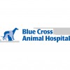 Blue Cross Animal Hospital