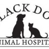 Black Dog Animal Hospital