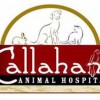 Callahan Drive Animal Hospital