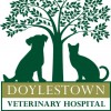 Doylestown Veterinary Hospital & Holistic Pet Care