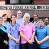 Washington Square Animal Hospital