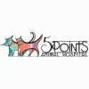 5 Points Animal Hospital